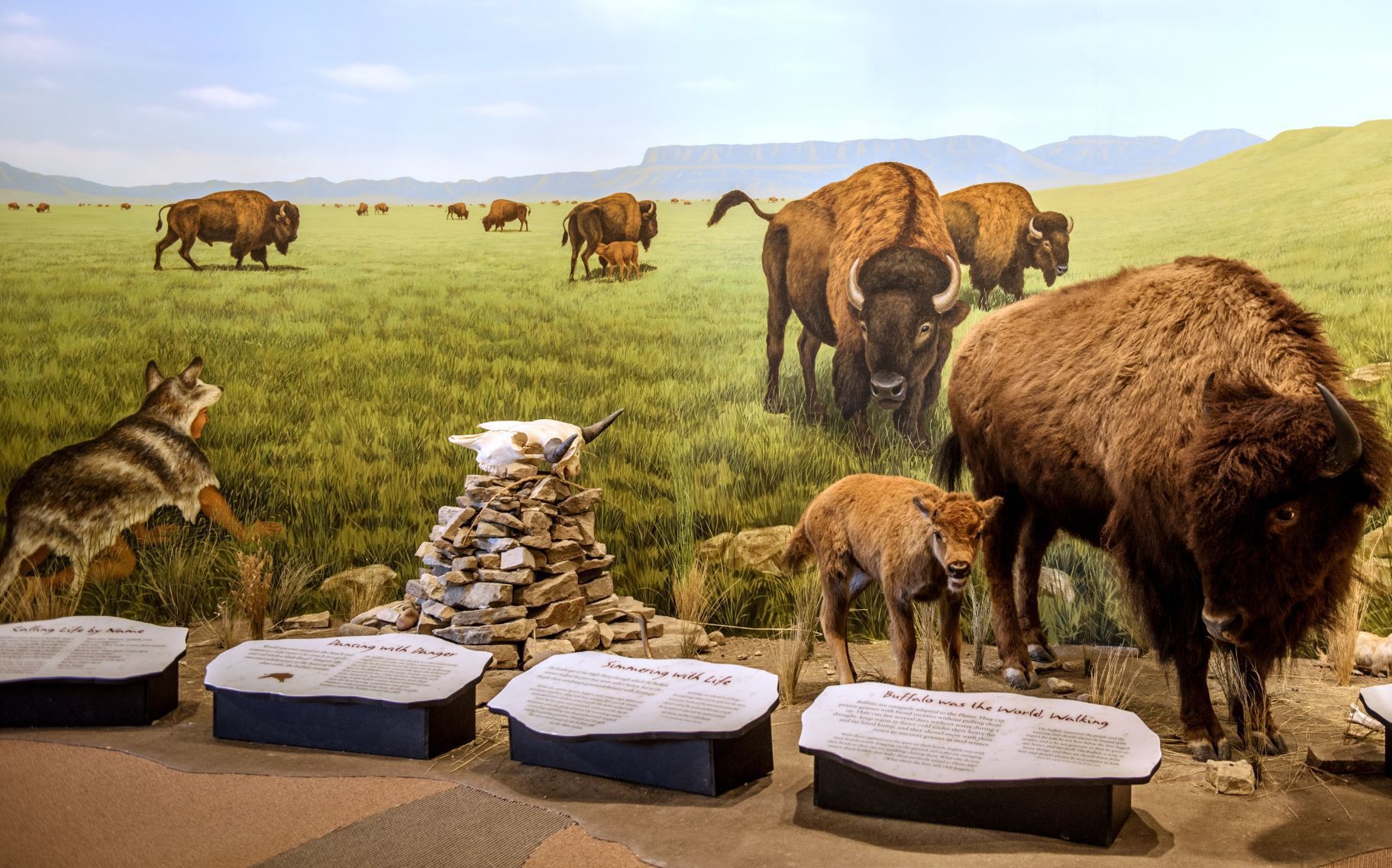 First Peoples Buffalo Jump State Park, Ulm